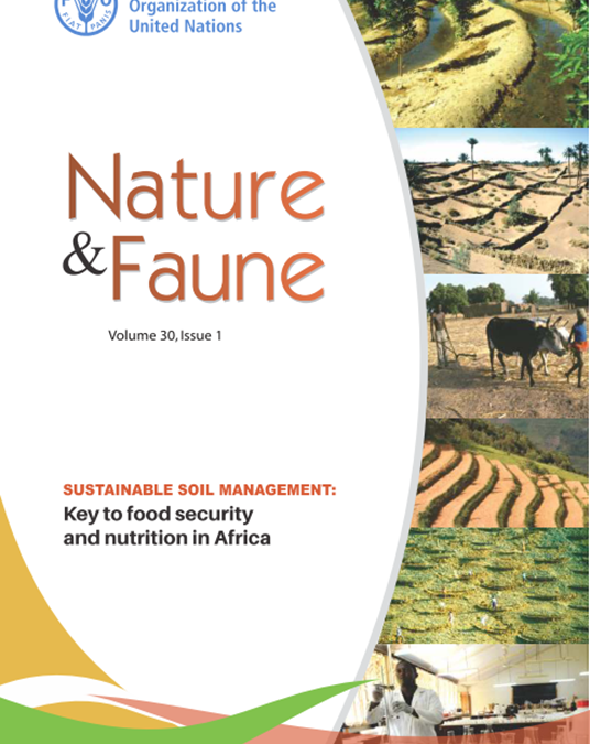 Promoting sustainable soil management in sub-Saharan Africa through the African Soil Partnership